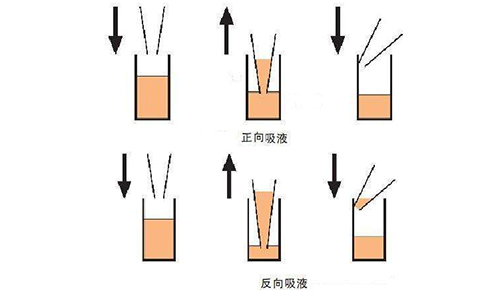 星空网页版
仪器BRAND反向移液法