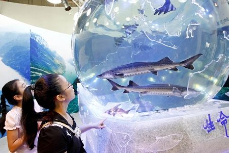 星空网页版
仪器——我与中华鲟，共护长江美