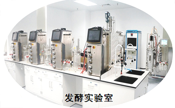 星空网页版
仪器为武汉生物技术研究院供应4台7L机械搅拌玻璃发酵系统